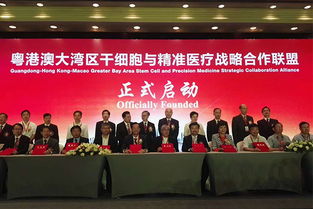 廣州海繹會(huì)議服務(wù) 專(zhuān)業(yè)會(huì)展服務(wù)的卓越之選